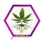 GULDUX-LOGO.jpeg